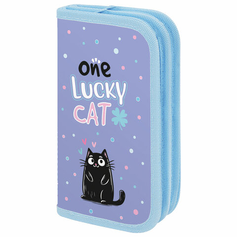 Пенал ПИФАГОР, 2 отделения, ламинированный картон, 19х11 см, Funny cats, 273481 по низкой цене оптом Краснодар, Москва, Уфа, Казань, Барнаул, Владивосток, Хабаровск, Сахалин, Красноярск, Екатеренбург, 