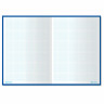 Книга канцелярская 80 л., клетка, твердая, глянцевая, блок офсет, А4 (215х295 мм), BRAUBERG, 130065 по низкой цене оптом Краснодар, Москва, Уфа, Казань, Барнаул, Владивосток, Хабаровск, Сахалин, Красноярск, Екатеренбург, 