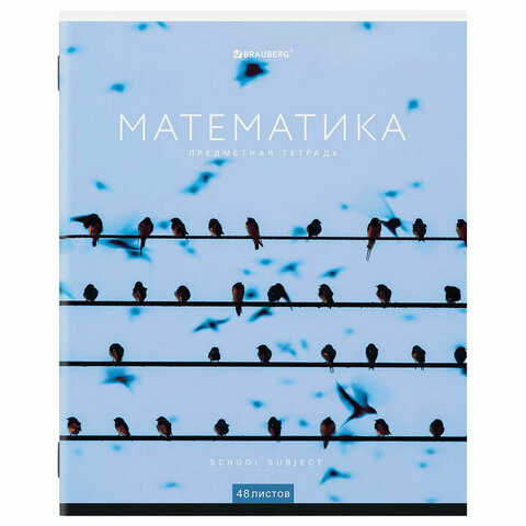 Тетрадь предметная "КЛАССИКА NEW" 48 л., обложка картон, МАТЕМАТИКА, клетка, BRAUBERG, 404248 по низкой цене оптом 