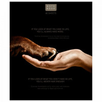 Тетрадь А5 48л. ПЗБМ скоба, клетка, конгрев, TWIN лак, Посмотри на меня (микс в спайке), 23805