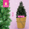 Ель новогодняя искусственная 16 см, с напылением, литой ПЭТ, ассорти, ЗОЛОТАЯ СКАЗКА, 592550 - Новогодние искусственные ели | СнабС