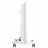 Обогреватель-конвектор ROYAL CLIMA REC-N1500М, 1500 Вт, 2 режима работы, белый, НС-1646670 по низкой цене оптом 