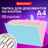Папка-органайзер на кнопке 12 отделений, BRAUBERG Extra, А4, голубая с розовым, 271932 по низкой цене оптом Краснодар, Москва, Уфа, Казань, Барнаул, Владивосток, Хабаровск, Сахалин, Красноярск, Екатеренбург, 
