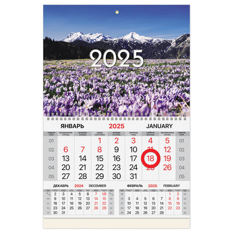 Календарь квартальный 2025г, 1 блок 1 гребень, магнитное кольцо, мел.бум, BRAUBERG, П, 116087 по низкой цене оптом 