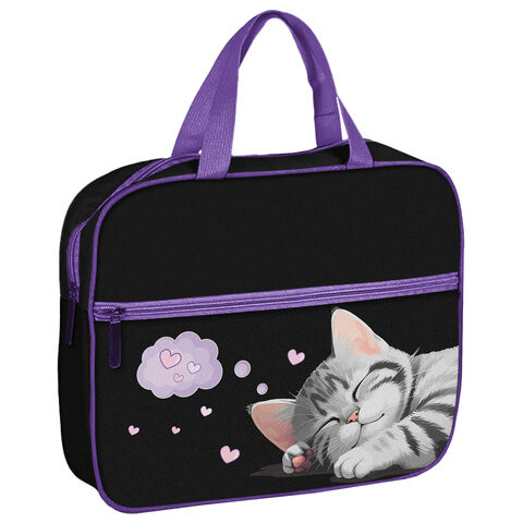 Папка на молнии с ручками BRAUBERG А4, 1 отделение, карман на молнии, 80 мм, Sleeping kitten, 273309 по низкой цене оптом 