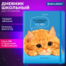 Дневник 1-11 класс 48л, твердый, BRAUBERG, матовая ламинация, резинка, закладка-ляссе, с подсказом, Котик, 107239 по низкой цене оптом 