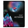 Тетради предметные, КОМПЛЕКТ 12 ПРЕДМЕТОВ, "MAGICAL", 48 л., матовая ламинация, фольга, BRAUBERG, 404610 по низкой цене оптом 