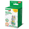 ФИГУРКА ИЗ ГИПСА с красками и кистью для росписи, ассорти, BRAUBERG KIDS, КОД 1С по низкой цене оптом 