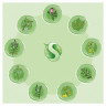 Средство для мытья пола и поверхностей 5 л SYNERGETIC, c дезинфицирующим эффектом, биоразлагаемое, 101500 по низкой цене оптом 