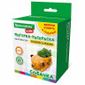 КАШПО ИЗ ГИПСА СО МХОМ, с красками и кистью для росписи, ассорти, BRAUBERG KIDS, код 1, 666012 по низкой цене оптом 