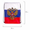 Сумка-мешок на завязках "Триколор РФ", с гербом РФ, 32х42 см, BRAUBERG, 228328, RU37 по низкой цене оптом Краснодар, Москва, Уфа, Казань, Барнаул, Владивосток, Хабаровск, Сахалин, Красноярск, Екатеренбург, 