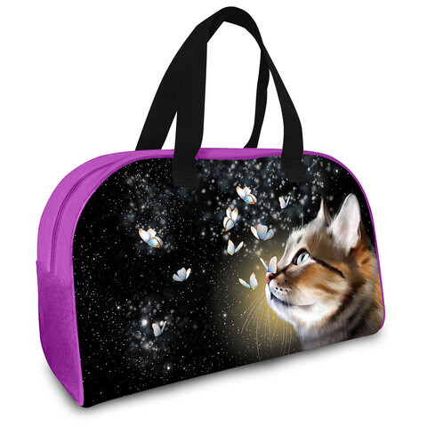Сумка для внешкольных занятий BRAUBERG с ручками, 35x25x15 см, "Dream cat", 271592 по низкой цене оптом 