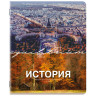 Тетради предметные, КОМПЛЕКТ 13 ПРЕДМЕТОВ, 48л, обложка картон, BRAUBERG, КЛАССИКА ПРИРОДА, 405165 по низкой цене оптом 