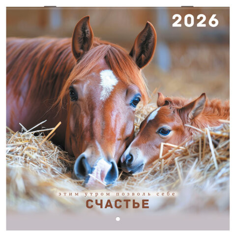 Календарь настенный перекидной 2026г, BRAUBERG, 12 листов, 28,5х28,5см, Благородные лошади, 116932 по низкой цене оптом Календарь настенный перекидной 2026г, BRAUBERG, 12 листов, 28,5х28,5см, Благородные лошади, 116932 по низкой цене оптом