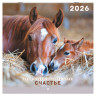Календарь настенный перекидной 2026г, BRAUBERG, 12 листов, 28,5х28,5см, Благородные лошади, 116932 по низкой цене оптом Календарь настенный перекидной 2026г, BRAUBERG, 12 листов, 28,5х28,5см, Благородные лошади, 116932 по низкой цене оптом