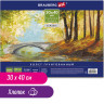 Холст на картоне BRAUBERG ART CLASSIC, 30*40см, грунтованный, 100% хлопок, мелкое зерно, 190621 по низкой цене оптом 
