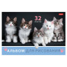 Альбом д/рис. А4 32л., скоба, обложка картон, HATBER, 205х290мм, Ассорти-Выпуск №4 (5 видов), 32А4Вя по низкой цене оптом 