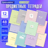 Тетради предметные, КОМПЛЕКТ 12 ПРЕДМЕТОВ, 48л, обложка картон, BRAUBERG, CREATIVE, 405166 по низкой цене оптом 