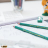 Карандаш чернографитный BIC, 1 шт., "Evolution", HB, без резинки, пластиковый, корпус зеленый, заточенный, 8803112 по низкой цене оптом Краснодар, Москва, Уфа, Казань, Барнаул, Владивосток, Хабаровск, Сахалин, Красноярск, Екатеренбург, 