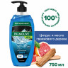 Гель для душа 3в1 для лица, волос и тела 750мл PALMOLIVE MEN "Спорт", освежающий,ш/к, 8693495037990 по низкой цене оптом 