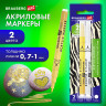 Маркеры акриловые для рисования и хобби, 2 цвета ЗОЛОТО/СЕРЕБРО, линия 0,7-1мм, BRAUBERG ART, 152528 по низкой цене оптом Краснодар, Москва, Уфа, Казань, Барнаул, Владивосток, Хабаровск, Сахалин, Красноярск, Екатеренбург, 