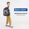 Ранец BRAUBERG SHINY, 2 отделения, "Tiger", СВЕТЯЩИЙСЯ РИСУНОК, 36х28х14 см, 270698 по низкой цене оптом Краснодар, Москва, Уфа, Казань, Барнаул, Владивосток, Хабаровск, Сахалин, Красноярск, Екатеренбург, 