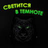 Ранец BRAUBERG SHINY, 2 отделения, "Tiger", СВЕТЯЩИЙСЯ РИСУНОК, 36х28х14 см, 270698 по низкой цене оптом Краснодар, Москва, Уфа, Казань, Барнаул, Владивосток, Хабаровск, Сахалин, Красноярск, Екатеренбург, 