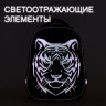 Ранец BRAUBERG SHINY, 2 отделения, "Tiger", СВЕТЯЩИЙСЯ РИСУНОК, 36х28х14 см, 270698 по низкой цене оптом Краснодар, Москва, Уфа, Казань, Барнаул, Владивосток, Хабаровск, Сахалин, Красноярск, Екатеренбург, 