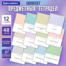 Тетради предметные, КОМПЛЕКТ 12 ПРЕДМЕТОВ, 48л, обложка картон, BRAUBERG, HARMONY, 405167 по низкой цене оптом 
