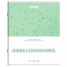 Тетради предметные, КОМПЛЕКТ 12 ПРЕДМЕТОВ, 48л, обложка картон, BRAUBERG, HARMONY, 405167 по низкой цене оптом 
