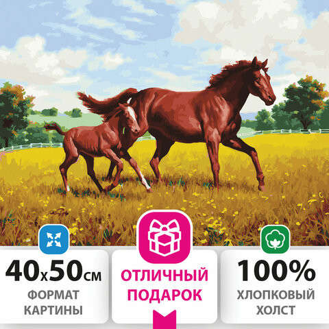 Картина по номерам 40х50 см, ОСТРОВ СОКРОВИЩ "Лошади на лугу", на подрамнике, акриловые краски, 3 кисти, 662464 по низкой цене оптом 