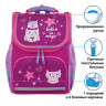 Ранец ПИФАГОР BASIC, с эргономичной спинкой, "Smart owls", 35х28х18 см, 229933 по низкой цене оптом 