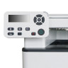 МФУ лазерное PANTUM M6700DW, "3 в 1", А4, 30 страниц/мин, 60000 страниц/месяц, ДУПЛЕКС, Wi-Fi, сетевая карта по низкой цене оптом 