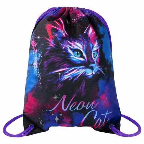 Мешок для обуви BRAUBERG PREMIUM, карман, подкладка, светоотражайка, 43х33 см, "Neon cat", 271621 по низкой цене оптом 