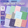 Тетради предметные, КОМПЛЕКТ 12 ПРЕДМЕТОВ, 48л, рельефный картон, матовая ламинация, BRAUBERG, CLASSIC, 405180 по низкой цене оптом 