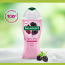 Гель для душа 250мл PALMOLIVE ГУРМЭ СПА "Ежевичный мусс", ш/к 80369, 8718951180369 по низкой цене оптом 