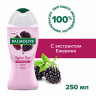 Гель для душа 250мл PALMOLIVE ГУРМЭ СПА "Ежевичный мусс", ш/к 80369, 8718951180369 по низкой цене оптом 