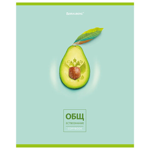 Тетрадь предметная "AVOCADO" 48 л., глянцевый лак, ОБЩЕСТВОЗНАНИЕ, клетка, BRAUBERG, 404274 по низкой цене оптом 