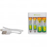 Зарядное устройство GP с аккумуляторами, AA 2600 mAh 2 шт. + AAA 950 mAh 2 шт., E411270/100-2CRB4, E4112701002CRB4 по низкой цене оптом 