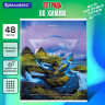 Тетрадь предметная NATURE 48л, обложка картон, ХИМИЯ, клетка, подсказ, BRAUBERG, 404781 по низкой цене оптом 