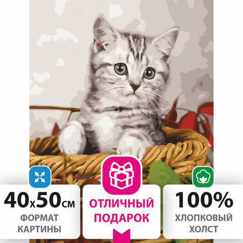 Картина по номерам 40х50 см, ОСТРОВ СОКРОВИЩ "Котёнок", на подрамнике, акриловые краски, 3 кисти, 662468 по низкой цене оптом 
