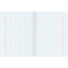 Тетрадь предметная КЛАССИКА XXI 48 листов, обложка картон, ИНФОРМАТИКА, клетка, подсказ, BRAUBERG, 403946 по низкой цене оптом 