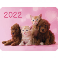 Календарь карманный на 2022 год, 70х100 мм, "Четыре лапы и хвост", HATBER, Кк7