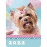 Календарь карманный на 2022 год, 70х100 мм, "Четыре лапы и хвост", HATBER, Кк7 по низкой цене оптом  Календарь карманный на 2022 год, 70х100 мм, "Четыре лапы и хвост", HATBER, Кк7 по низкой цене оптом
