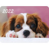 Календарь карманный на 2022 год, 70х100 мм, "Четыре лапы и хвост", HATBER, Кк7 по низкой цене оптом  Календарь карманный на 2022 год, 70х100 мм, "Четыре лапы и хвост", HATBER, Кк7 по низкой цене оптом