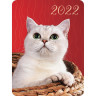 Календарь карманный на 2022 год, 70х100 мм, "Четыре лапы и хвост", HATBER, Кк7 по низкой цене оптом  Календарь карманный на 2022 год, 70х100 мм, "Четыре лапы и хвост", HATBER, Кк7 по низкой цене оптом
