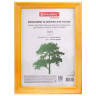 Рамка 15х20 см, дерево, багет 18 мм, BRAUBERG "Pinewood", янтарь, стекло, подставка, 391216