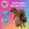 Фигурка антистресс "Капибара с аксессуарами", 7 см, ассорти 2 вида, JOLLY JOT (ДЖОЛЛИ ДЖОТ), 666183 по низкой цене оптом 