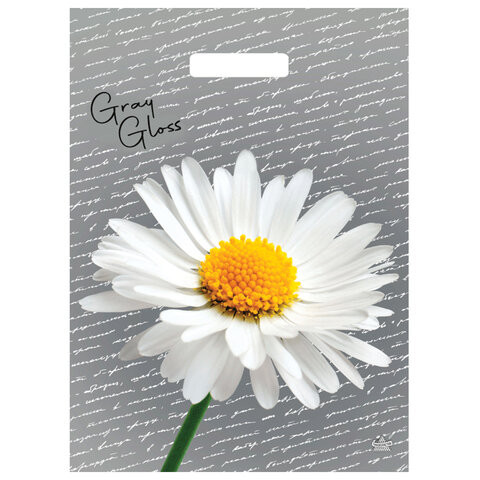 Пакет с вырубной ручкой ПВД, 43х31,5см, "Грэй Глосс Ромашка", 50мкм, ШК1701, н00269304 - Пакеты упаковочные | СнабС Пакет с вырубной ручкой ПВД, 43х31,5см, "Грэй Глосс Ромашка", 50мкм, ШК1701, н00269304