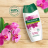 Гель для душа 250мл PALMOLIVE НАТУРЭЛЬ "Черная орхидея с увлажняющим молочком", ш/к 3, 8693495051927 по низкой цене оптом 